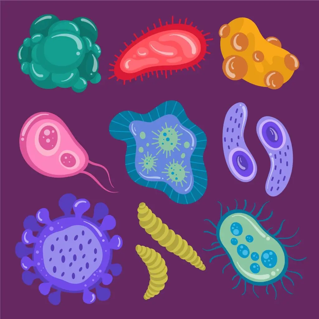 همه چیز درباره هلیکوباکتر پیلوری: این باکتری چقدر خطرناک است؟