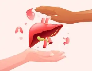 بهترین زمان انجام فیبرو اسکن در بیماران کبد چرب و هپاتیت